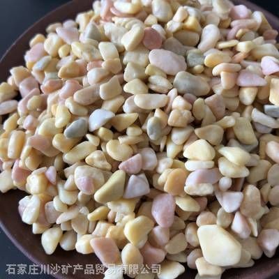 川沙哪里有賣魚缸的實體店啊：川沙地區有哪些賣魚缸的實體店？