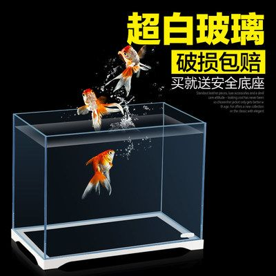 斗魚缸可以放什么水草：如何選擇斗魚缸？