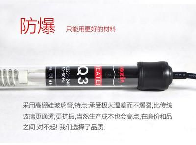 玻璃魚缸會爆嗎：玻璃魚缸爆裂的原因和預防措施