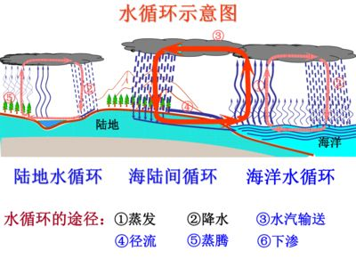 大型魚缸水循環(huán)示意圖高清：關(guān)于魚缸水循環(huán)系統(tǒng)的一般信息
