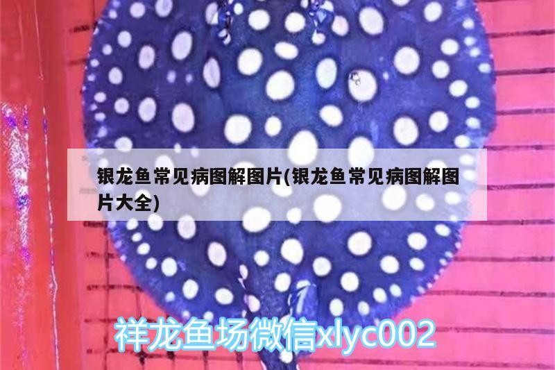 三原城內(nèi)名人漁具店（三原城內(nèi)名人漁具店電話）