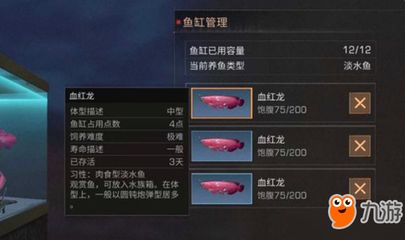 明日之后血紅龍魚多少錢一條：明日之后血紅龍魚交易攻略血紅龍魚文化象征意義探究