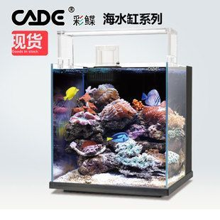 上海浦東浦建花鳥市場佳巍水族館(浦東浦建路花鳥市場) 全國水族館企業名錄 第1張 上海浦東浦建花鳥市場佳巍水族館(浦東浦建路花鳥市場) 上海浦東浦建花鳥市場佳巍水族館(浦東浦建路花鳥市場) 全國水族館企業名錄 第1張