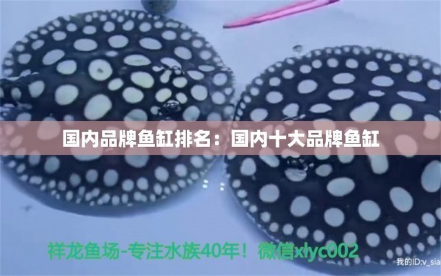 耒陽市海利水族魚缸店（耒陽市海利水族魚缸店電話）