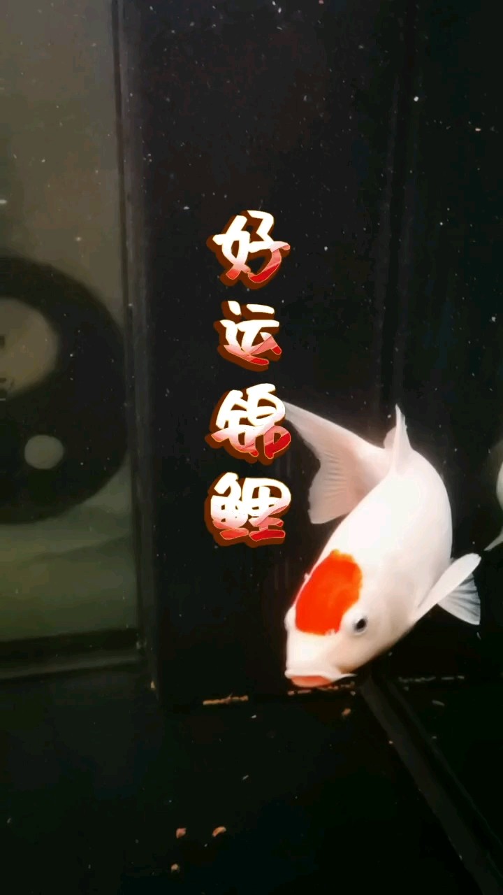 喜歡做的事是沒有截止日期的