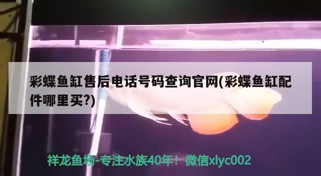魚缸可以放南面陽臺嗎(北面陽臺放魚缸好不好)