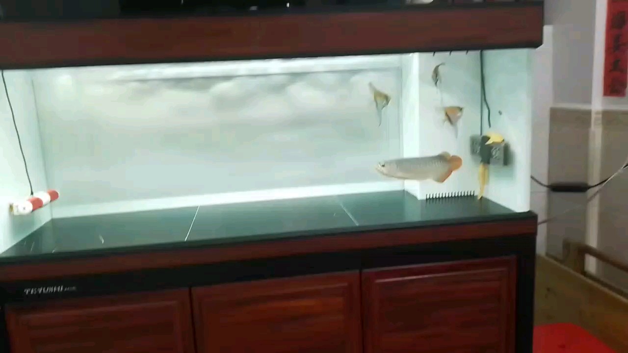 到家兩個月打卡