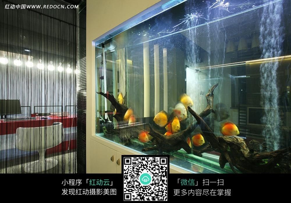 玻璃膠可以粘魚缸長期水泡嗎：玻璃膠可以用于粘魚缸長期水泡但需要考慮多個因素