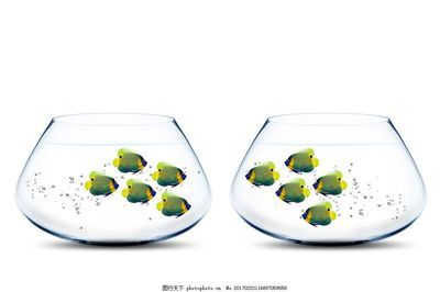 玻璃膠可以粘魚缸長期水泡嗎：玻璃膠可以用于粘魚缸長期水泡但需要考慮多個因素