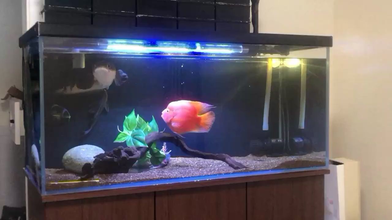 今天這狀態