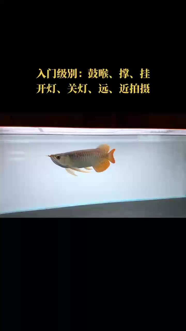 感謝大自然的饋贈