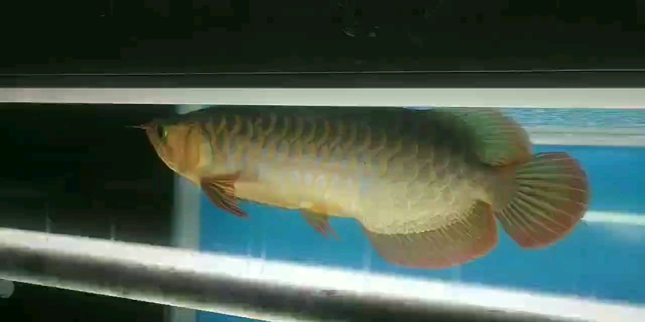 現在上側燈可以嗎