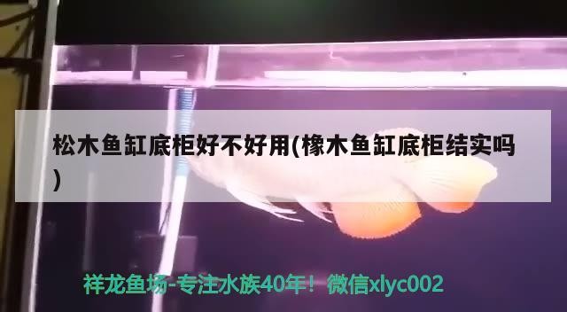 松木魚缸底柜好不好用(橡木魚缸底柜結實嗎)