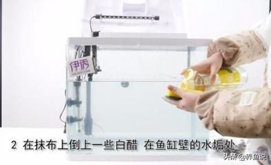 虎魚的區(qū)別(黃黝魚和蝦虎魚的區(qū)別)