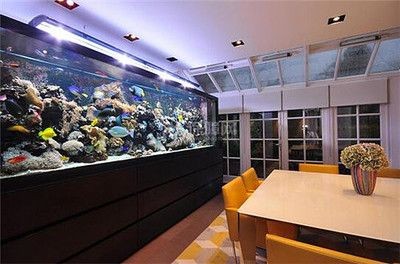 不用的魚缸怎么處理最佳風水擺放圖：不用的魚缸如何處理，可以根據以下幾個方面來進行處理