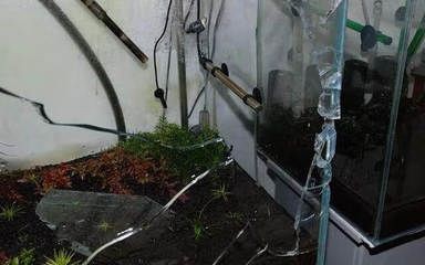 玻璃魚缸開裂如何處理：如何處理玻璃魚缸開裂