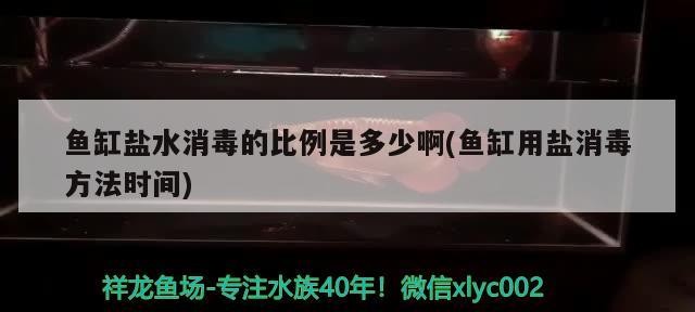 魚缸鹽水消毒的比例是多少啊(魚缸用鹽消毒方法時間)