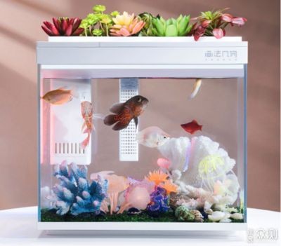 純石頭造景魚缸：如何選擇適合的山石做魚缸造景？