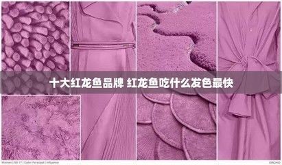紅龍魚品牌泗水好還是孟吉爾好：比較泗水和孟吉爾紅龍魚品牌