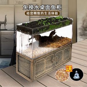 斗魚魚缸布置：關(guān)于斗魚魚缸布置的建議
