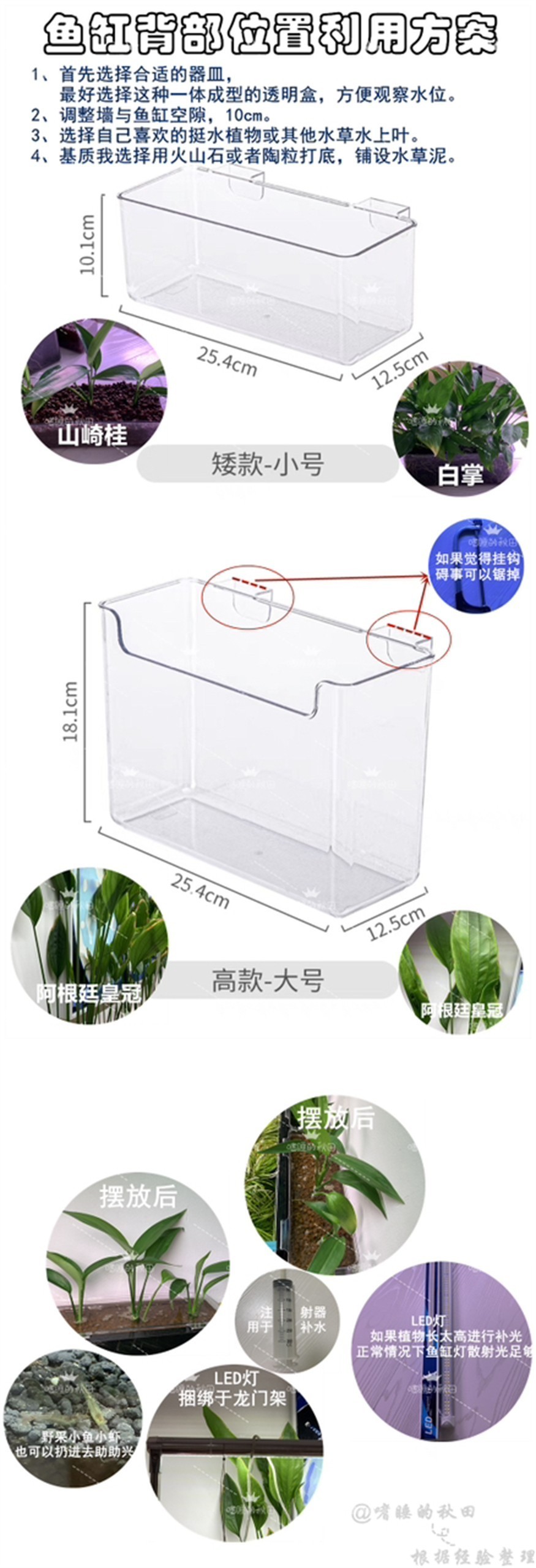 不浪費一點空間！搭配魚缸！盡顯生命氣息！ 不浪費一點空間！搭配魚缸！盡顯生命氣息！ 龍魚論壇 第1張