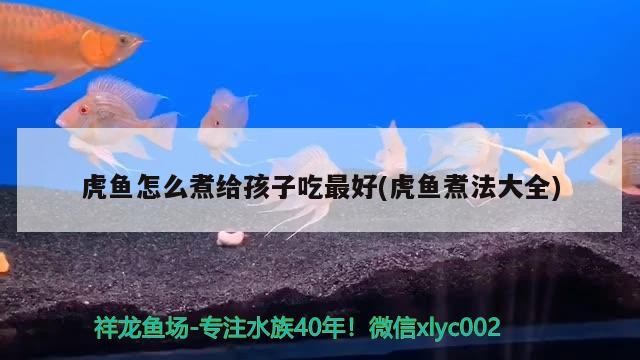 虎魚怎么煮給孩子吃最好(虎魚煮法大全)