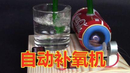 大魚缸有過濾系統還需要充氧嗎？：養魚過濾系統和充氧的關系 大魚缸有過濾系統還需要充氧嗎？：養魚過濾系統和充氧的關系 魚缸百科 第3張