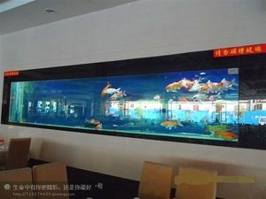 玻璃魚缸批發(fā)：玻璃魚缸批發(fā)貨源推薦