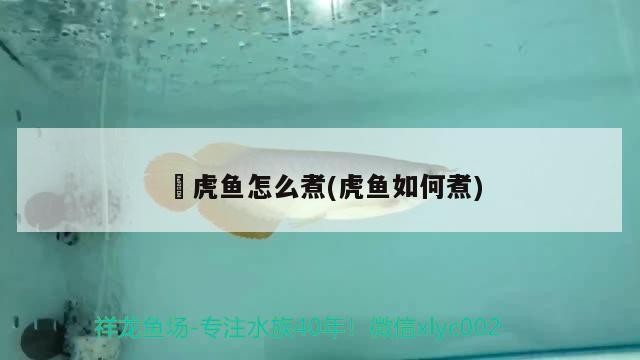純海水魚(yú)缸視頻：與純海水魚(yú)缸相關(guān)的視頻涵蓋了不同的主題的主題視頻