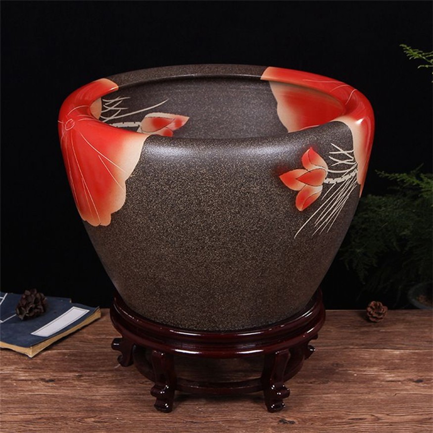藍曼龍會吃小魚嗎，藍曼龍的飼養方法，藍曼龍會吃小魚嗎