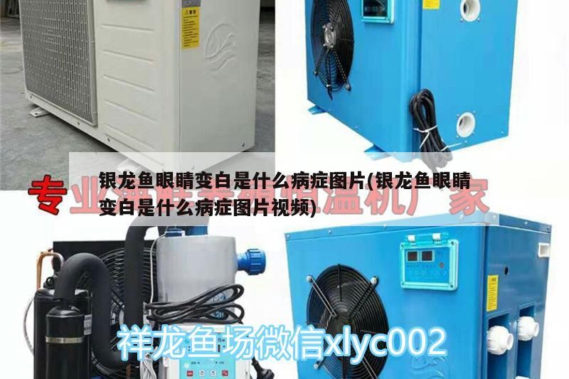 烏魯木齊高新技術產業開發區三喜水族館（烏魯木齊高新技術產業開發區三喜水族館怎么樣）