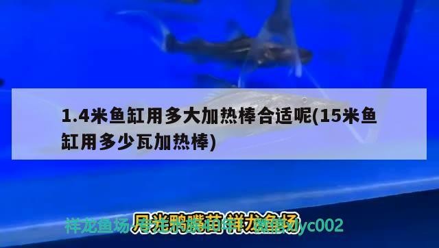 1.4米魚缸用多大加熱棒合適呢(15米魚缸用多少瓦加熱棒) 1.4米魚缸用多大加熱棒合適呢(15米魚缸用多少瓦加熱棒) 紅龍魚百科