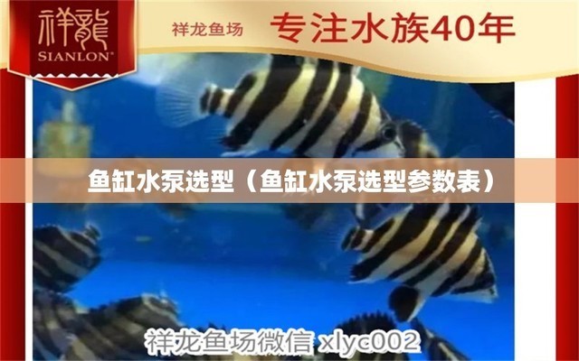 達(dá)縣南外魚博士水族畫加工廠