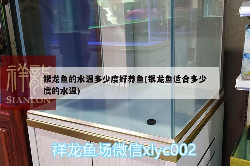 紅龍魚吃食嚼不爛怎么回事 紅龍魚吃食嚼不爛怎么回事 龍魚百科 第3張