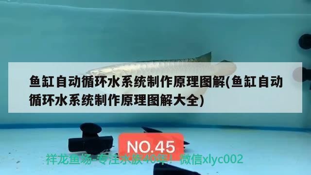 鞍山經濟開發區匯龍閣水族館（鞍山經濟開發區匯龍閣水族館電話）