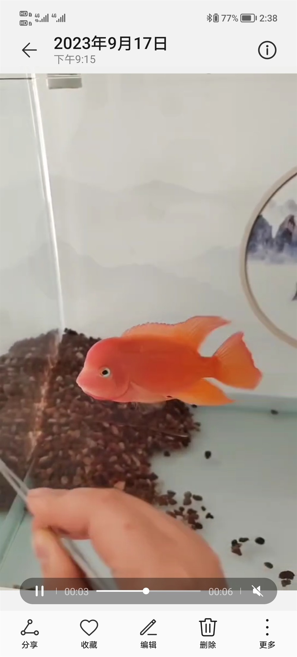 東面放魚缸好不好風水:家居風水魚缸的擺放技巧 魚缸百科 第3張 東面放魚缸好不好風水:家居風水魚缸的擺放技巧 東面放魚缸好不好風水:家居風水魚缸的擺放技巧 魚缸百科 第3張