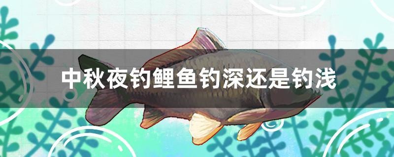 中秋夜釣鯉魚釣深還是釣淺