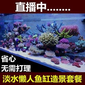 淡水哪里有賣魚缸的地方啊多少錢：水族箱植物的選擇與養護