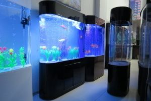 100cm魚缸有多少水：100cm魚缸的尺寸或哪一個水量的描述是指向100cm魚缸的