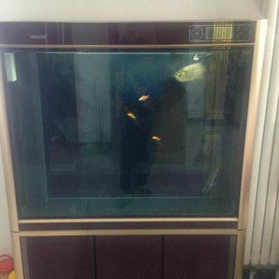 大興魚缸清洗公司：北京大興魚缸清洗公司 大興魚缸清洗公司：北京大興魚缸清洗公司 魚缸百科 第3張