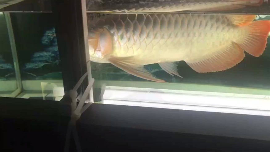 天氣熱發色太慢