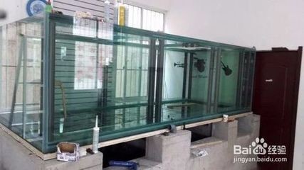 玻璃膠粘完魚缸多久能用：玻璃膠粘完魚缸后多久能使用魚缸玻璃膠固化時間使用