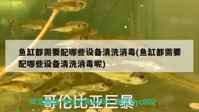 魚缸過濾器配件有哪些(魚缸過濾器材有哪些) 魚缸過濾器配件有哪些(魚缸過濾器材有哪些) 紅龍魚百科