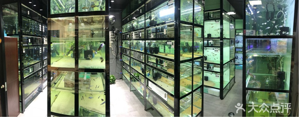 慈溪哪里有賣魚缸的：慈溪市內幾個可能提供魚缸銷售的商家