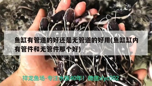 魚缸有管道的好還是無管道的好用(魚缸缸內(nèi)有管件和無管件那個好) 魚缸有管道的好還是無管道的好用(魚缸缸內(nèi)有管件和無管件那個好) 紅龍魚百科