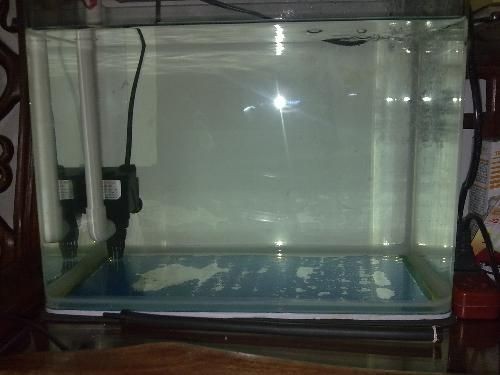 安裝魚缸需要注意事項：大型魚缸安裝方法