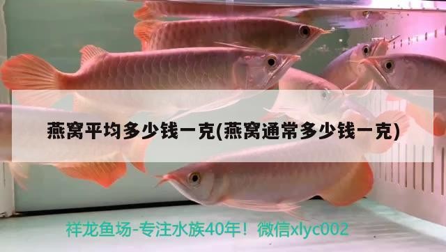魚缸循環過濾系統怎么抽水的啊(魚缸循環過濾系統怎么抽水的啊)