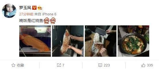 梅州紅龍魚價格2688貴嗎？