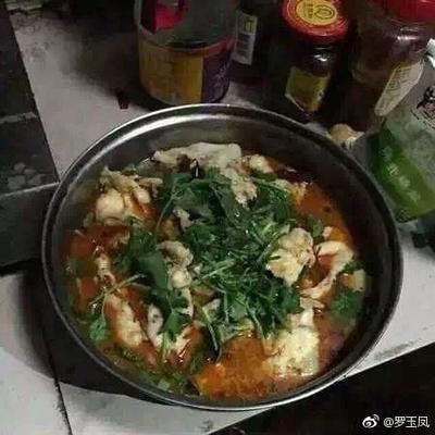 梅州紅龍魚價格2688貴嗎？