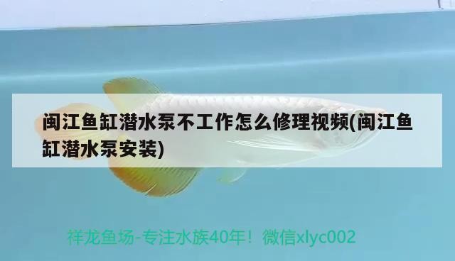 如何預(yù)防龍魚(yú)眼睛白膜及突出，如何治療龍魚(yú)眼睛白膜及突出
